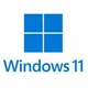 Windows 11